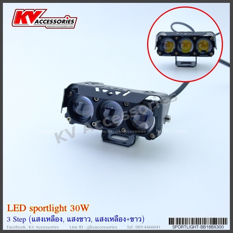 LED Spotlight 30W